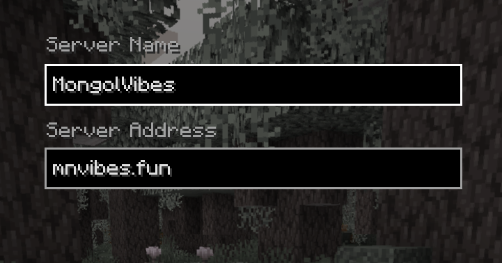 Server IP